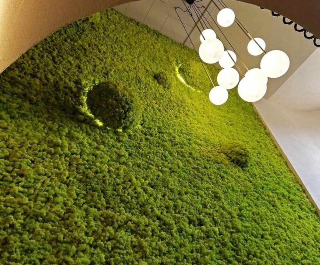 Muro de musgo preservado instalado por Flor & Design bajo un arco, con lámpara de globos colgante